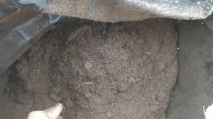 Питательный грунт для голубики из торфа.