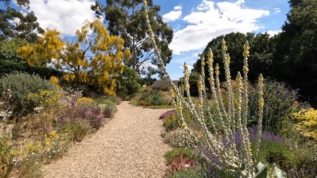 Знаменитый гравийный сад Beth Chatto | Beth Chatto's Gravel Garden