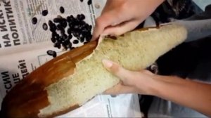 Продолжение....выросла мочалка......#мочалка