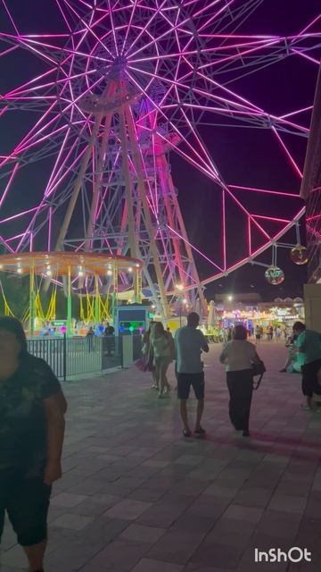 Лазаревское 🐬в парке ночью красиво 👍