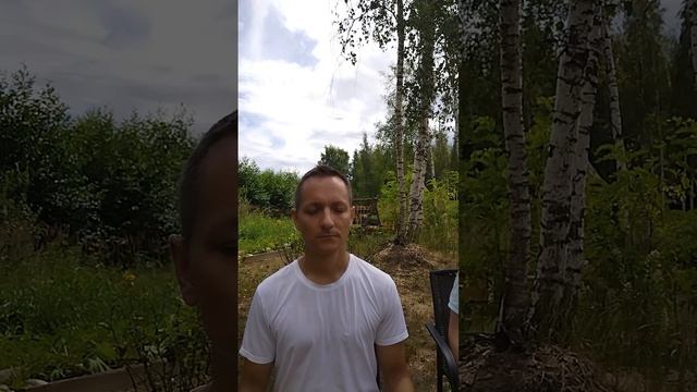 Медитация на пасеке🐝 - увеличение внутреннего Ресурс