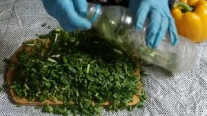 Как хранить зеленый лук