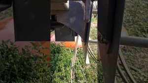 Косилка агростар, подумайте прежде чем покупать!