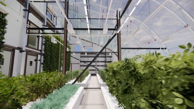 Визуализация вегетария с культурами и высокими гряда?