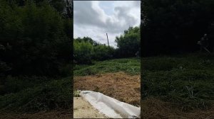 Обзор триммера Huter GGT 2000-4T