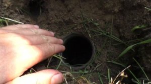 Поймать крота за 5 минут.