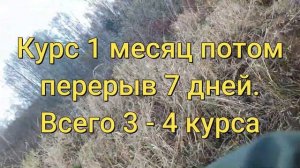 Корни сабельника лечат позвоночник, суставы и чистят ?