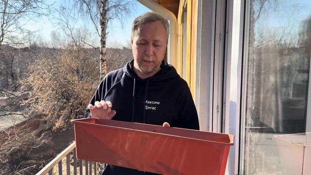 Сколько кустов клубники можно посадить в 1 балконный я