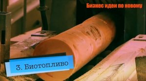 Бизнес идея 2023-2024. Выращивание павловнии от А-Я. Бизнес