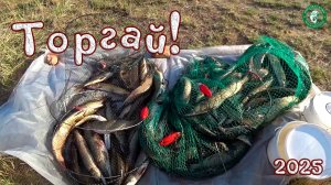 ТОРГАЙ 2025! ТАКАЯ РЫБАЛКА МЕЧТА РЫБАКА, ЩУК ЛОВИТЬ НЕ ПЕРЕЛОВИТЬ, ВЕЧЕРКА УЖИН У КОСТРА, КАЗАХСТАН!