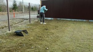 Как убрать старую траву и вырастить идеальный газон? О