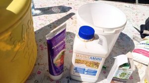 Подкормка лука Эксибишен после высадки в грунт. Подко?