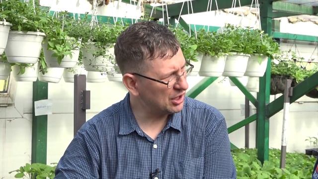 Вести.Интервью: Владислав Кундасев, агроном смотреть онлайн