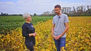 Соя: разбор ошибок | Сорта сои | Сроки сева и обработки |