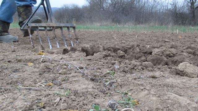 ТЕСТ ЧУДО ЛОПАТЫ - Спина Не Болит, Тело Не Устает - ПЕСН? смотреть онлайн