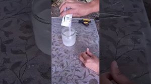 Триходермастер. Обработка клубники от болезней. Профи
