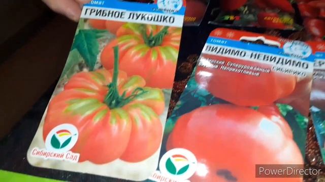 #Обзор семян томатов# на новый сезон 2021 год#. смотреть онлайн