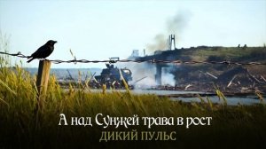 А над Сунжей трава в рост - ДИКИЙ ПУЛЬС