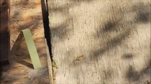 Как пчелам в ульи неправильно нужно пластины от клеща