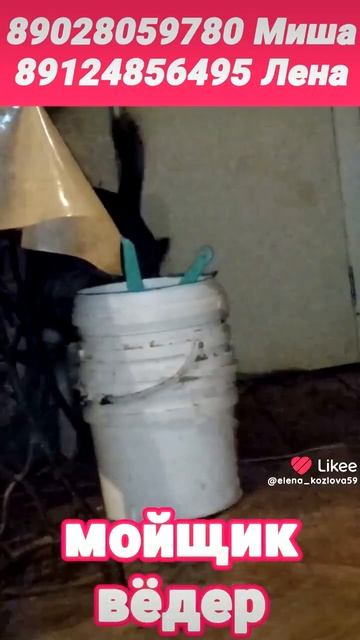 Снежа и Остик смотреть онлайн