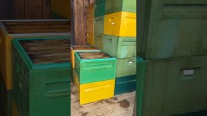 Дезинфекция рамок и ульев каустической содой (натрий ?