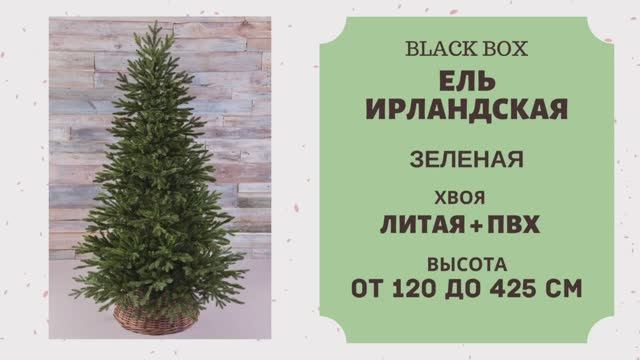 Black Box - ОБЗОР искусственной ели Ирландская зелёная смотреть онлайн