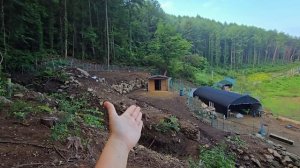 Новый питомец и куча проблем на корейской даче / KOREA VLOG