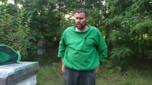 Аскосфероз (известковый расплод) у пчел на пасеке. Бол?