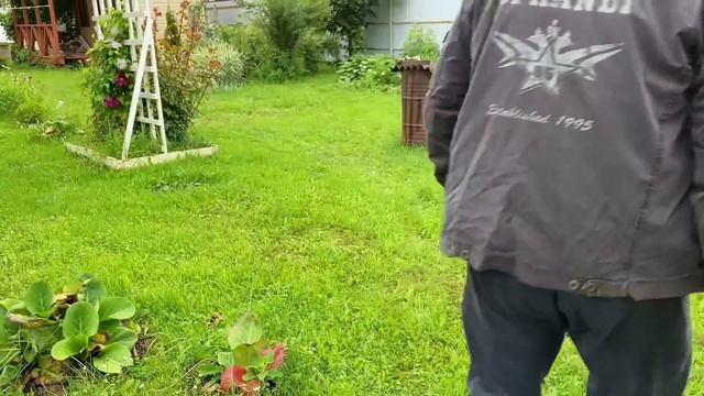 Уютная дача: Высаживаем новые растения. Рецепт чесноч? смотреть онлайн