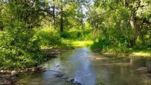 Удобрение из яичной скорлупы для комнатных цветов