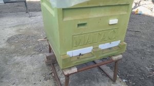 Подкармливаем сиропом с добавками для укрепления и ра