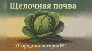 🌱📺 Щелочная почва — как сделать подушку в лунку | Ог?