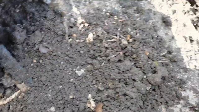 Биогумус. Идеальный грунт. Производство грунтов на св? смотреть онлайн