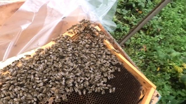 Тихая смена на закрытии сезона. Проблемная подсадка м? смотреть онлайн