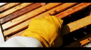 Расширение гнезда вторым корпусом. - Наращивание силы