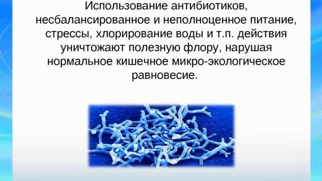 Новая Эра.12 01 15 вебинар Здоровье кишечника.Олигосахар? смотреть онлайн