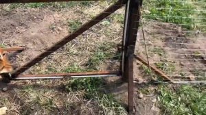 Навес для винограда