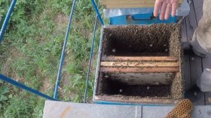 Борьба с Роением пчел. Метод ДЕМАРИ в пчеловодстве наг