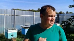 🔴Бальзам Апимакс в помощь пчелам