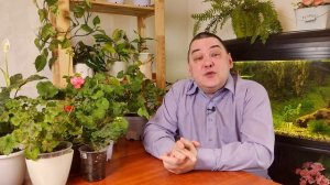 Нижний полив растений в поддон или блюдце. Вся правда ?