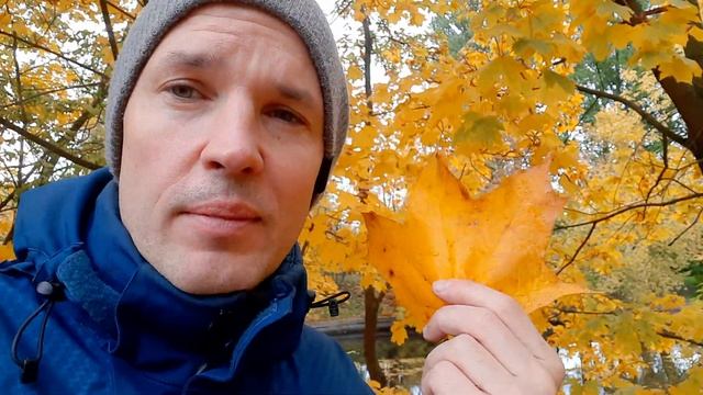 Почему осенью желтеют и краснеют листья? смотреть онлайн