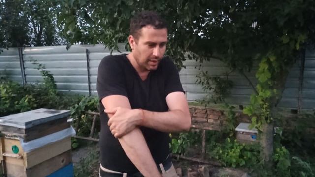Воровство пчел, как работать на пасеке когда нет взятк смотреть онлайн