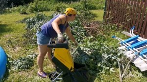 Обзор на электрический измельчитель CHAMPION SH251