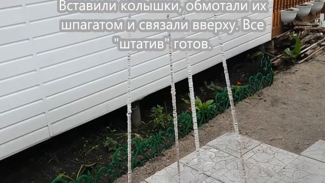 Клематис. Посадка. Собираем "штатив".