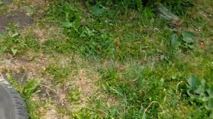 САМЫЙ ПРОСТОЙ СПОСОБ ОБЪЕДИНИТЬ ДВА ОТВОДКА С ПЧЕЛАМИ