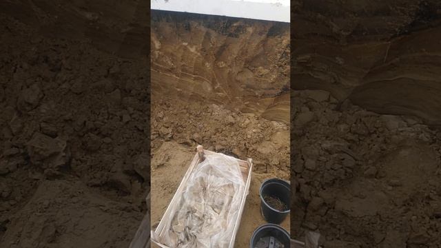 Ещё раз про зимовку земляники. смотреть онлайн