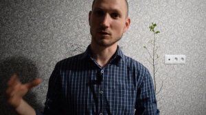 Укореняем гранат крупными черенками