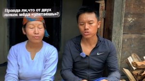 Пробуем ЗАПРЕЩЕННЫЙ мёд диких пчел-УБИЙЦ! Опасный Неп?