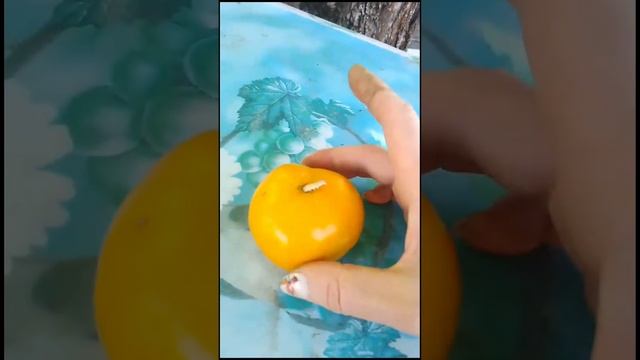 когда #сестра осматривает урожай на #дача #тетяоля смотреть онлайн