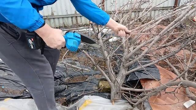 Испытываю в деле аккумуляторную миницепную пилу. Како смотреть онлайн